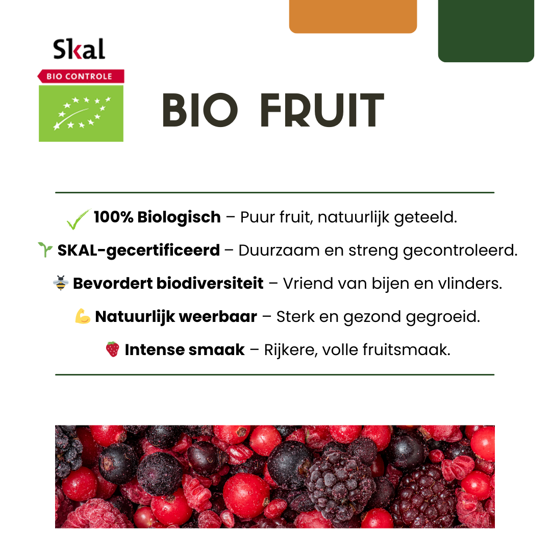 6x - Actinidia Deliciosa - Biologische selbstbestäubende Kiwi-Pflanzen - Ø 13 cm - ↕20 cm