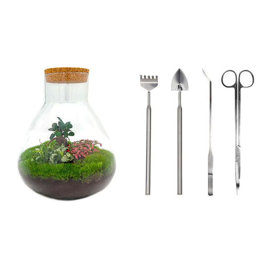 Flaschengarten - Sam XL Bonsai - Rechen + Schaufel + Pinzette + Schere