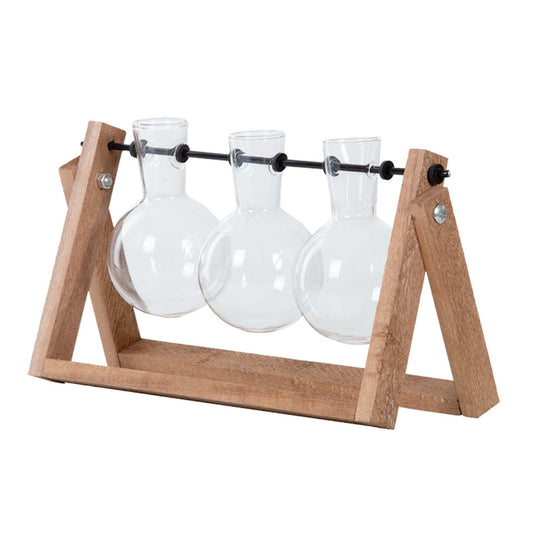 3x - Hydrokultur-Vase für Stecklinge