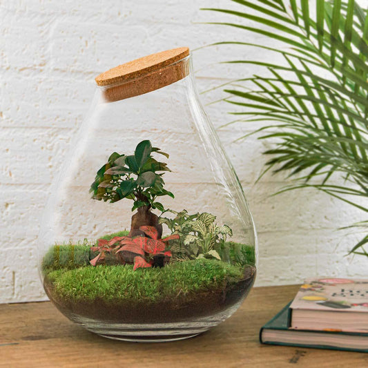 Flaschengarten - Drop XL - 37 cm - Rechen + Schaufel