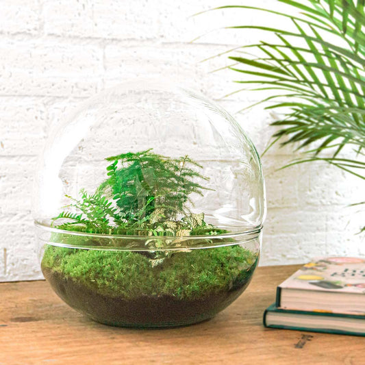 Flaschengarten - Dome XL - 30 cm - Rechen + Schaufel