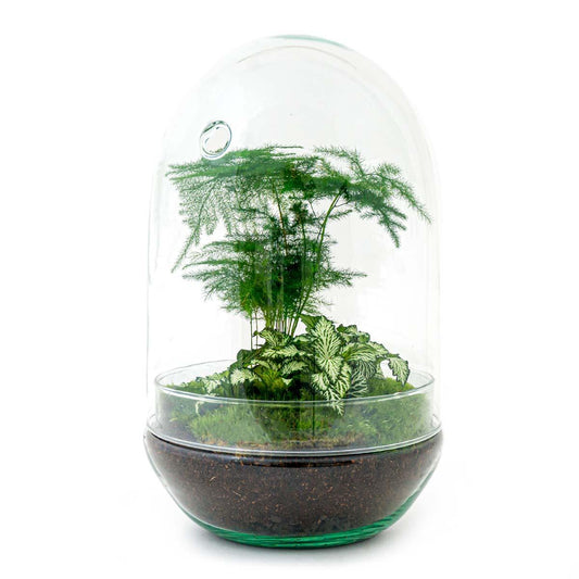Flaschengarten - Egg XL - 30 cm