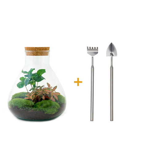 Flaschengarten - Sammie Coffea - 26 cm - Rechen + Schaufel